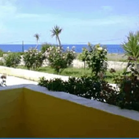 Ammes 3*
